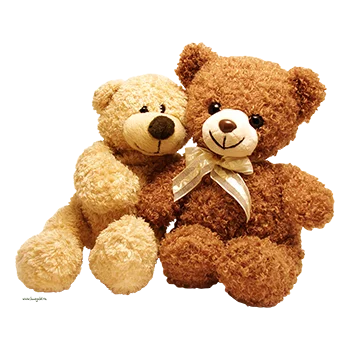 Sell Teddy Bear online